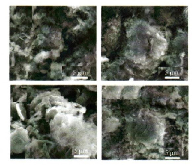 4.7 V截止电压循环拆解后负极SEM