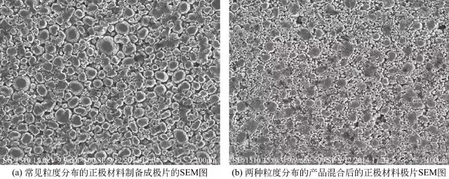 不同粒度分布的正极材料极片SEM图