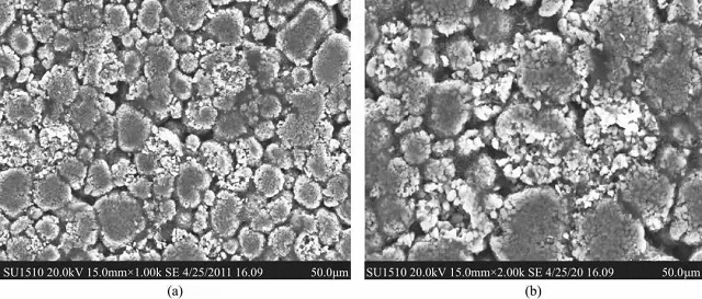 过压后极片的SEM图