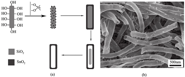 SnO2纳米管的形成机理和形貌