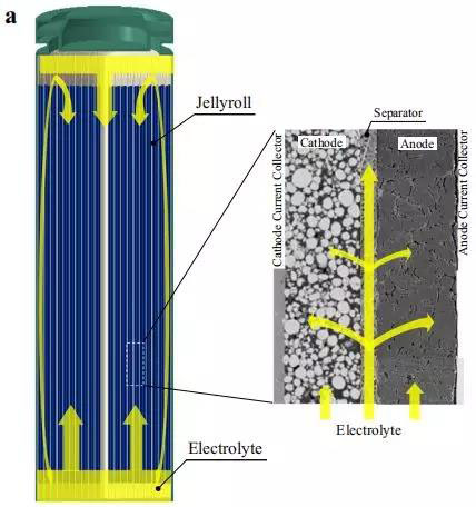 锂离子电池电解液浸润电芯示意图