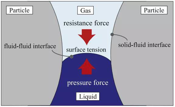 电解液在孔隙内扩散动力学