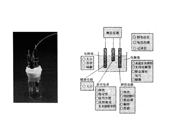 三电极电解池示意图